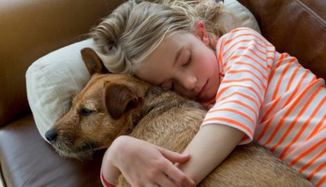 Kids and Pet Death | Alternative Resources Directory