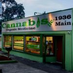 Cannabis LLC 1936 Main St Springfield OR 97477 Marijuana 541 505 9971