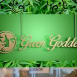 Green Goddess Remedies Dispensary 5435 SW Taylors Ferry Rd Portland OR 97219 Marijuana 503 764 9000