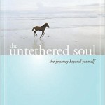 The Untethered Soul The Journey Beyond YourselfMichael A Singer