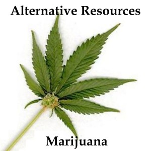 cannabis marijuana bud ganja pot dispensary washington oregon