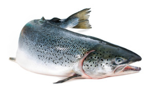 Vegetarian Salmon Recipe Alternative