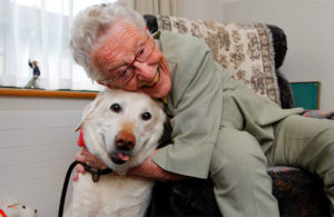Dog therapy for elderly