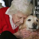 Dogs for the elderly