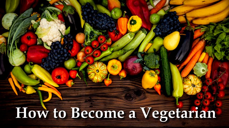 How To Become A Vegetarian | Alternative Resources Directory