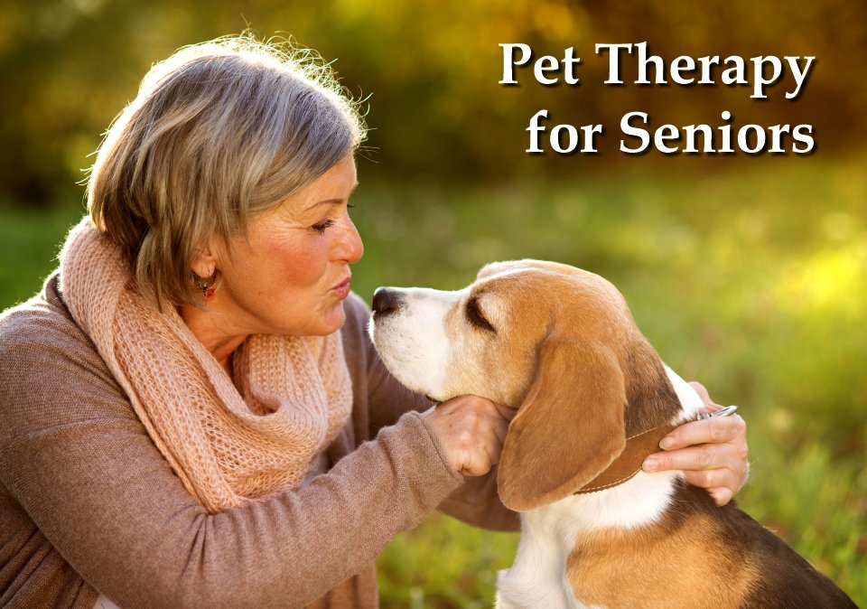 Pet Therapy for Seniors