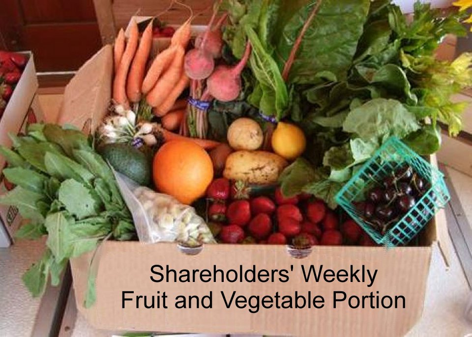 Shatreholders weekly fruit and vegetable portion example community shared agriculture csa