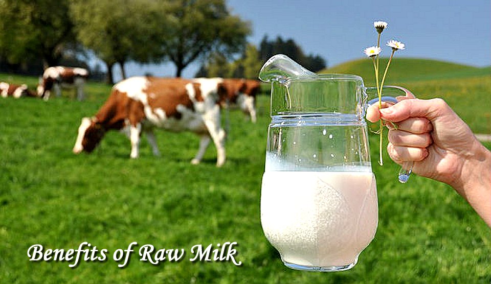benefits of raw milk