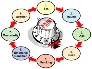 8 causes of pain sex trauma age sleep smoking emotional condition muscularity weather