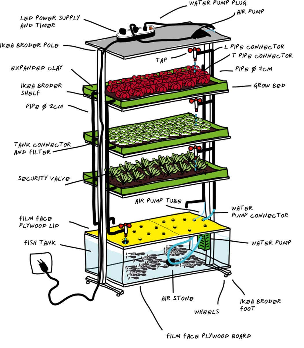 symbiotic aquatic organic vertical farming alternative