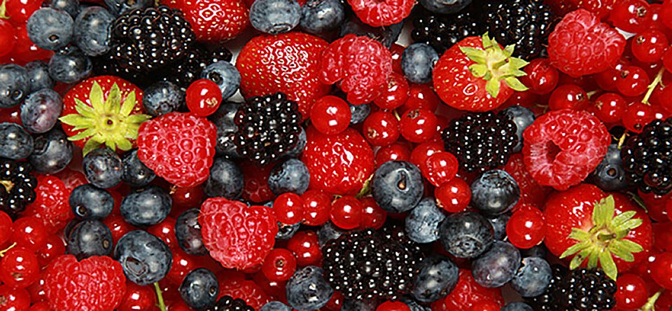 6 reasons you should eat berries every day
