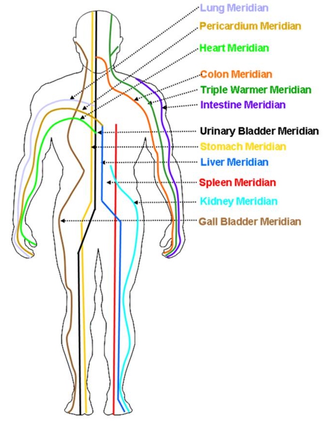 Image result for 12 meridians of the body